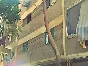 Building For sale - 2 rooms