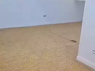 شقق للبيع - 2 غرف - بالدور 1