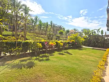 Properties For rent - 4 rooms - floor 0