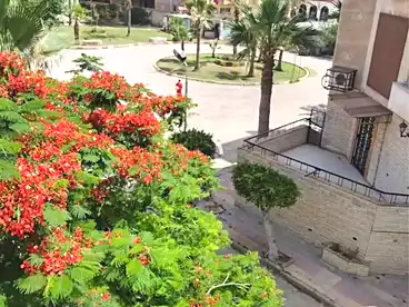 شاليهات للبيع في أبو يوسف، العجمي، 55 متر