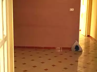 Properties For rent in Khalil Hamada St., Sidi Beshr Bahri, 85 sqm