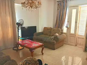 Private للبيع في شارع محمد صبري ابو علم، النرجس عمارات، 220 متر