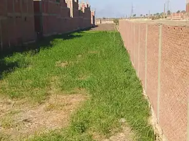 أراضي للبيع في المرج، القاهرة الكبرى، 2500 متر