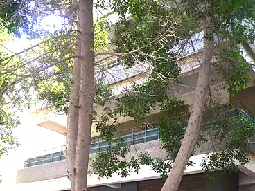 عقارات للبيع في شارع مكرم عبيد، مدينة نصر، 500 متر