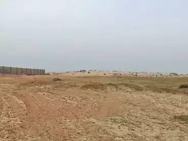 Commercial Land For sale in Borg El Arab, Alexandria, 16800 sqm
