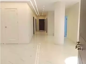 Properties For sale in Badrshein, Giza, 350 sqm