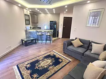 ستوديو للإيجار في شارع دكتور أحمد زويل، إمتداد الرحاب، 60 متر