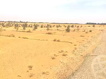 Land For sale in Neighborhood 2nd, El Ahyaa, 450 sqm