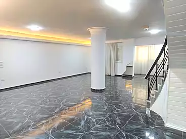 دوبلكس للبيع في شارع محمود العيسوي، سيدي بشر بحري، 350 متر