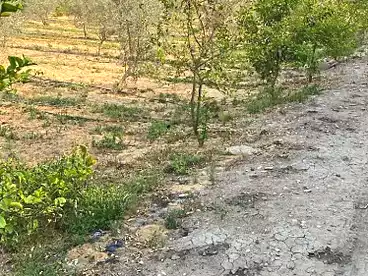 Land For sale in Al Asher Men Ramadan St., Ismailia City, 18900 sqm