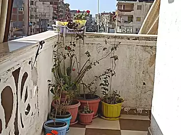 Properties For sale in Abu Yusuf, Al Agamy, 120 sqm