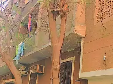 منزل / بيت للبيع في ترسا، شارع خاتم المرسلين، 90 متر
