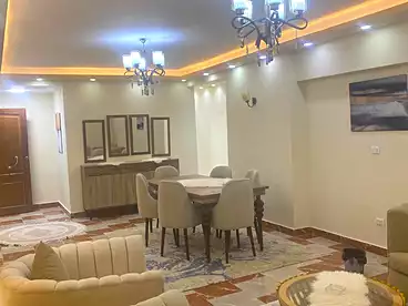 Furnished Apartment For rent in Abbas El Akkad St., Nasr City, 300 sqm