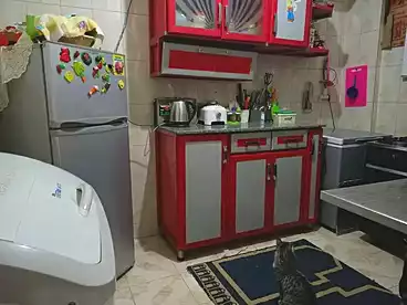Apartments For sale in Shahr El Assal, El Bitash, 100 sqm