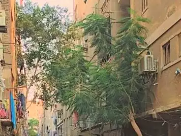 House / Home For sale in Khatem El Morsalin St, Tersa, 90 sqm