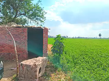 Land For sale in Met El Korashi, Mit Ghamr, 4200 sqm