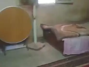 شقق للبيع في الطوابق، فيصل، 100 متر