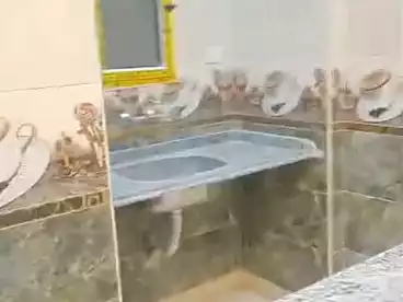 شقق للبيع في أبو يوسف، العجمي، 90 متر