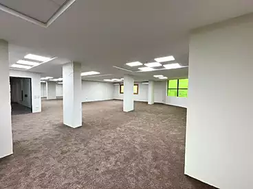 Administrative For rent in Palestine St., New Maadi, 500 sqm