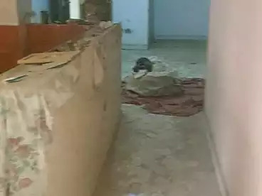 شقق للبيع في اللبيني، فيصل، 120 متر