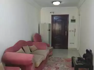 Furnished Apartment For rent in Khaled Ibn El Walid St., Sidi Beshr Bahri, 110 sqm