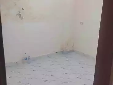 شقق للإيجار في مجاورة 4، 15 مايو، 100 متر