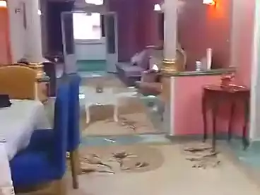 شقق للبيع في أبو يوسف، العجمي، 160 متر