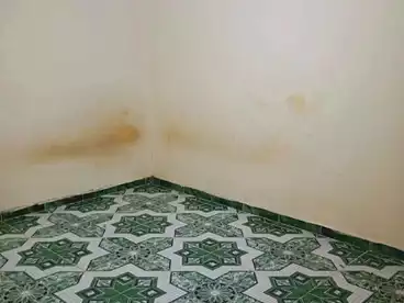 Apartments For rent in Sidi Beshr Bahri, Sidi Bishr, 75 sqm