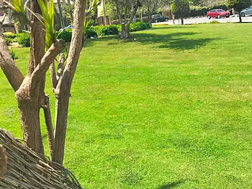 Properties For sale in Umm Kolthom St., Phase 3, 320 sqm