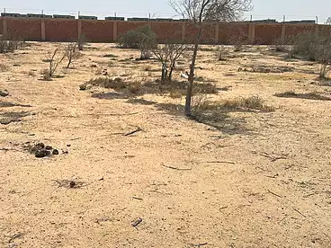 For sale in Riviera St., El Sheikh Zayed, 2000 sqm