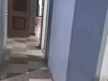 شقق للإيجار في البيطاش، العجمي، 100 متر