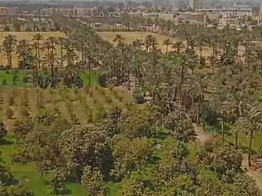 شقق للبيع في شارع الثلاثيني، فيصل، 135 متر