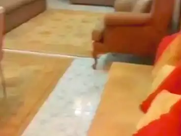 شقق للبيع في شارع حسن محمد، فيصل، 90 متر