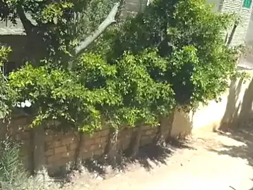 Villas For sale in El Amreya, Alexandria, 120 sqm