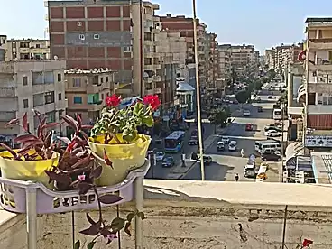 Properties For sale in Alexandria - Marsa Matrouh Rd, Alexandria, 120 sqm
