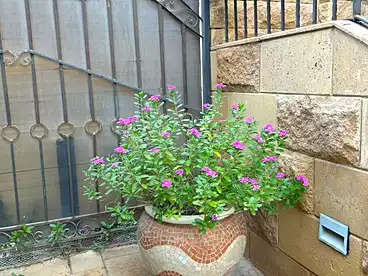 Private For sale in Mostafa Kamel St., Phase 4, 90 sqm