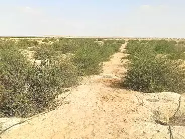Farm For sale in Wadi El Natrun, Beheira, 84000 sqm