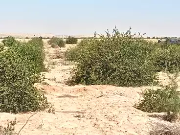 Land For sale in Kanat Al Sweis St., Ismailia City, 2100 sqm