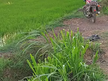 Farm For sale in El Rawda, Damietta, 58800 sqm