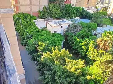 شقق للبيع في الفلكي، السيوف، 120 متر