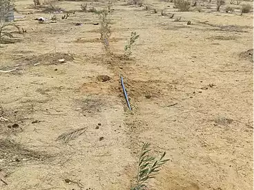 عقارات للبيع في القصاصين، الاسماعيلية، 12600 متر