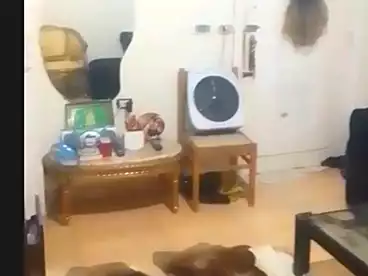 شقق للبيع في شارع جمال عبد الناصر، سيدي بشر بحري، 75 متر