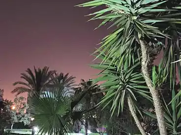 شقق للبيع في كمبوند زايد 2000 - درة، كمبوند بالشيخ زايد، 190 متر