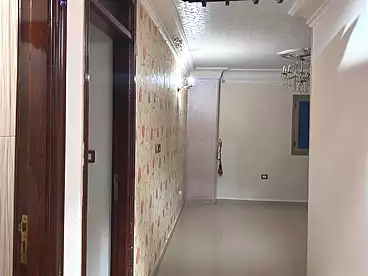 Properties For rent in Kabeish Rd, El Mariotia, 220 sqm