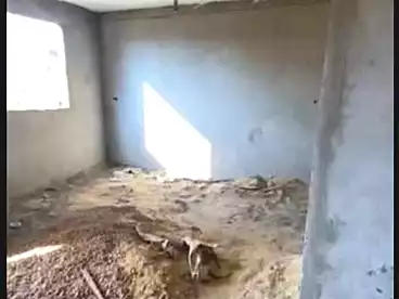 شقق للبيع في البيطاش، العجمي، 120 متر