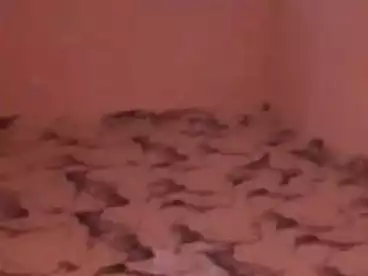 عقارات للبيع في البيطاش، العجمي، 80 متر