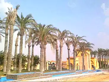 Villas For sale in Kattameya Gardens Compound - North Africa, Compounds in New Cairo, 911 sqm