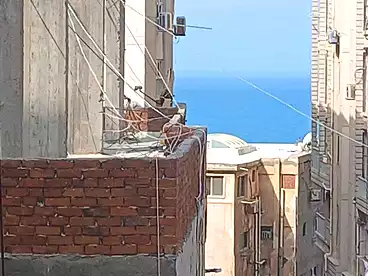 Apartments For sale in Sidi Kamal St., El Mandara Bahri, 155 sqm