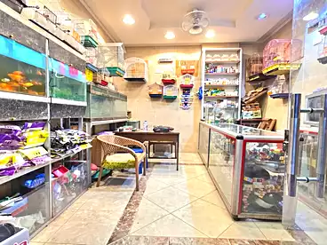 محلات للبيع في شارع جمال عبد الناصر، سيدي بشر بحري، 16 متر