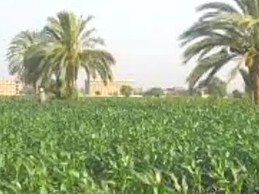 Farm For sale in Abu El Matamir City, Abu El Matamir, 100800 sqm